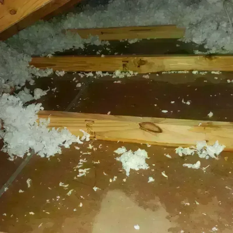 Attic Water Damage in Grimes County, TX