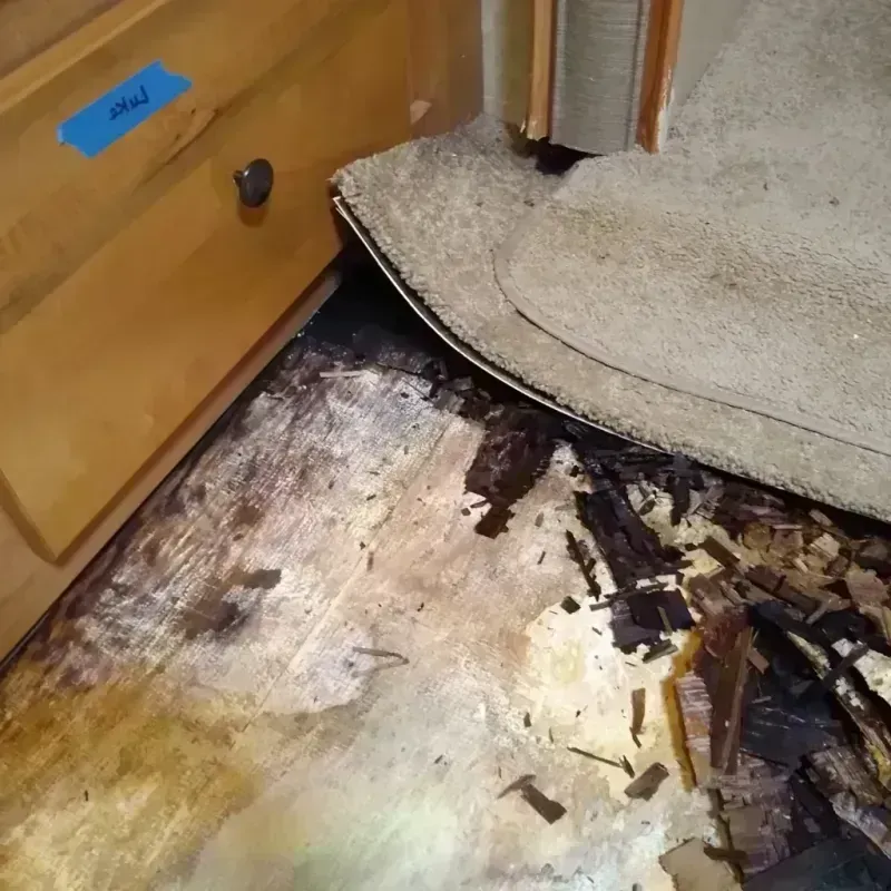 Wood Floor Water Damage in Grimes County, TX